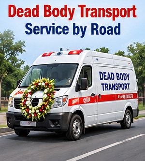 Body transport by road